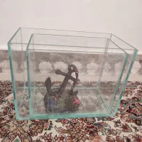 آکواریوم ساده