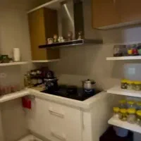 فروش آپارتمان|فروش آپارتمان|رشت, کاکتوس|دیوار