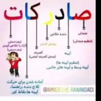 آموزش رانندگی مخصوص تازه گواهینامه گرفتن