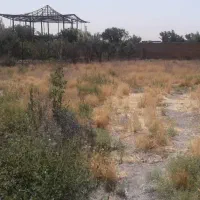باغ۱۰۰۰متری قاسم آباد