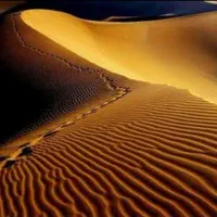 تور فولبرد کویر مصر