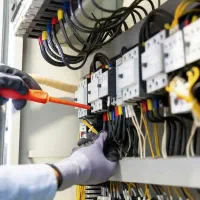 برقکار صنعتی و باغی