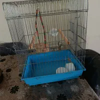 قفسه دو طبقه سالم با وسایل بازی در حدنو