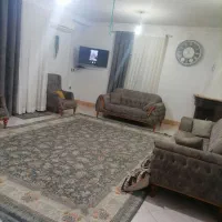 قالی 12|فرش|گرگان, |دیوار