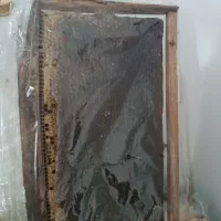 عسل خالص وطبیعی
