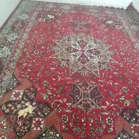 فرش12متر