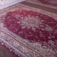 فرش|فرش|الیگودرز, |دیوار