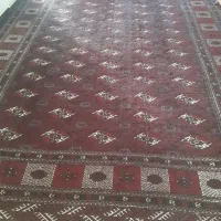 فرش|فرش|گنبد کاووس, |دیوار