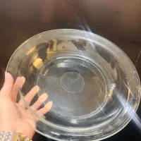 سالاد  خوری و میوه خوری فرانسه