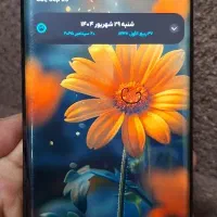 گوشی داریا باند یک - در یک کلام فوق العاده