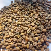 دان عربیکا کنیا اقتصادی مناسب میکس و آسیاب ترک