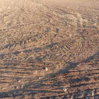 زمین کشاورزی دیم|فروش زمین و ملک کلنگی|سیلاخور, |دیوار