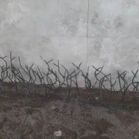 حفاظ بوته ای