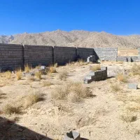زمین اقا بزرگی بین نیر زردین