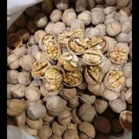 گردو درجه یک محلی