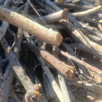 فروش چوب شومینه ای