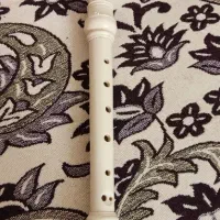 فلوت ریکوردر یاماها