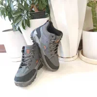 کوچک شده است|کیف، کفش، کمربند|همدان, |دیوار