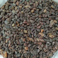 کشمش خوراکی آبگیری سرکه ای