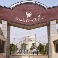 گواهی تحصیلی مقاطع، دانشگاه