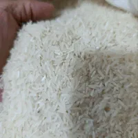 برنج طارم گرگان کاملا یکدست