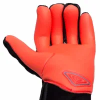 دستکش دروازه بانی پوما Puma سایز ۹/۵|تجهیزات ورزشی|تهران, قیطریه|دیوار