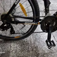 جاینت‌رینکُن‌ ال‌تی‌دی