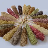 نبات شمع قهوه
