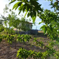 فروش باغ ویلا نزدیک قزوین