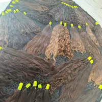 موهای خام ورنگی