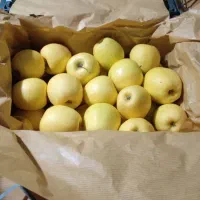 سیب سفید|خوردنی و آشامیدنی|مرند, |دیوار