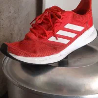 کفش اورجینال