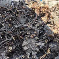 خرید و فروش چوب