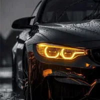 تایپ و ترجمه