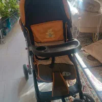 کالسکه بچه|کالسکه و لوازم جانبی|صدرا-فارس, فاز ۲|دیوار