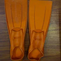 فین شنای می سی سی پی