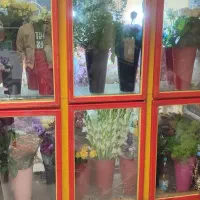 یخچال فروشگاه