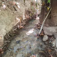 باغ شیراز دینکان