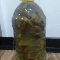 فروش خیار شور
