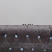 پشتی|پشتی|کوهدشت, |دیوار