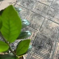 فرش کناره ابرشم ماشینی|فرش|کرج, حصارک بالا|دیوار