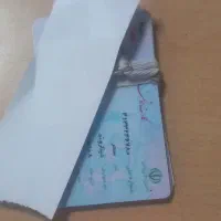 مدارک پیداشده بنام سحردیناروند