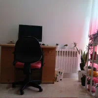 صندلی گردان