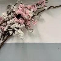 فروش لوازم و تجهیزات سالن زیبایی