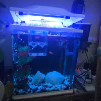 اکواریوم سایز کوچک