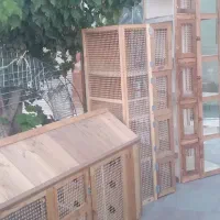 گنجه چوبی کبوتر