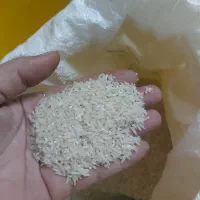 ایرانی(برنج)|خوردنی و آشامیدنی|مشکین‌دشت, |دیوار