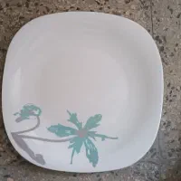 ۶ عدد پلویی  ۱ کاسه سالاد ۱دیس بزرگ و ۲ گلدان