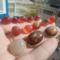 پک 13عددی نگبن های طبیعی باباقوری های آبدار