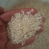 فروش برنج شمیم هاشمی